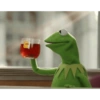 Kermit the frog 16