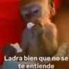 Mono meme 14
