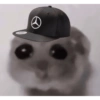 Hamster🎀 9