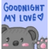 GOODNIGHT MY LOVE♡