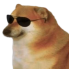 Perro meme Cheems 👋🏻😎 15