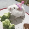 🐹Ratitas cutes🐹 8
