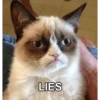 Talking cat 13