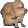 Jejeje  11
