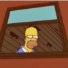 Homero Simpson 💛 26