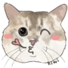 @KiwiBritishCat 18