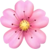 Iphone Emojis 🌺💕 6