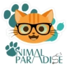 AP emojis 13