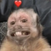 MIQUITOS FOFITOS 7