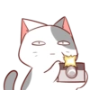 Kucing kaget #4 19
