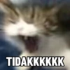 TIDAKKKKKK