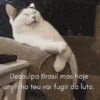 Melhores figurinhas  5