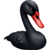 Emoji ios 18.1 black 🖤 11