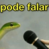 Respostas pra você usar 14