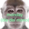 monday (día del mono)