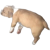 Random para whatsapp 🐶 12