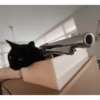 Black Cat Mood 9