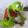 Ranita RENÉ! 🐸 9