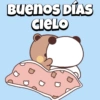 Buenos dias BUBU 🐼❤️ 13