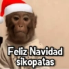 Changuitos🐒🍌 6