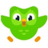 Duolingo (Pack N°2) 8