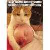 Talking cat 18
