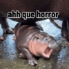 Moo deng meme 8