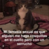 @puticiento Mi fantasía sexual es que alguien me haga cosquillas en el cuello pero con un serrucho