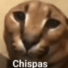 😎 STICKERS SHITPOST 21 🤙 15