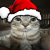 FELIZ NATAL 🎄🎅 8