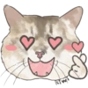 @KiwiBritishCat 16