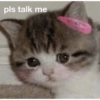 pls talk me