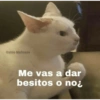 Gatitos 1 21