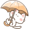 ❣️ Cats cute ❣️ 8