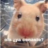Memes Sad 12