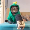 Patético 7