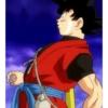Goku xeno 5