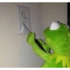 Kermit the frog 19