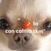 Memes con texto 6 🏝️👀 13