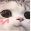 Sukkuu 28