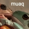 muaq
