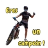 Eres Cannondale VREDESTEIN un campeón!