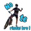 NO Cannondale VREDESTEIN te rindas bro!