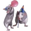 Para el cumpleañer@ 💀 14