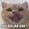 AKU DIAJAK GAK?