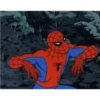 Homem aranha 12