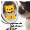 Gatos 14