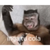 Mono meme 12