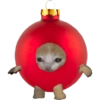Hewan christmas natal cat 10