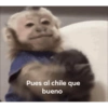 Pues al chile que bueno